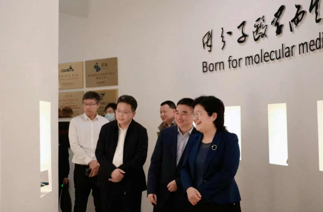 徐州市政府代表团莅临K8凯发国际生物调研指导