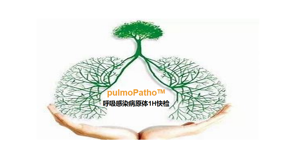 pulmoPatho，呼吸感染病原谱