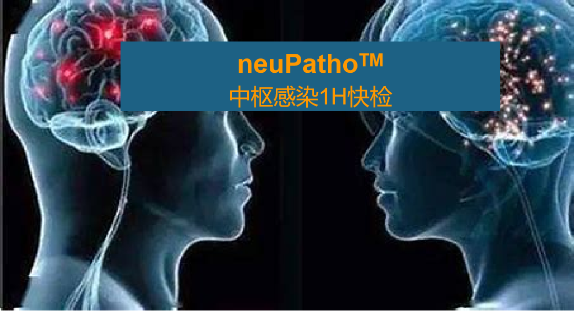 neuPatho，中枢感染病原谱