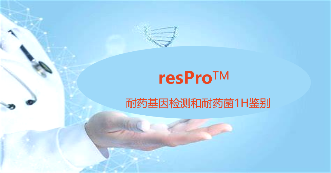 resPro，细菌耐药基因谱