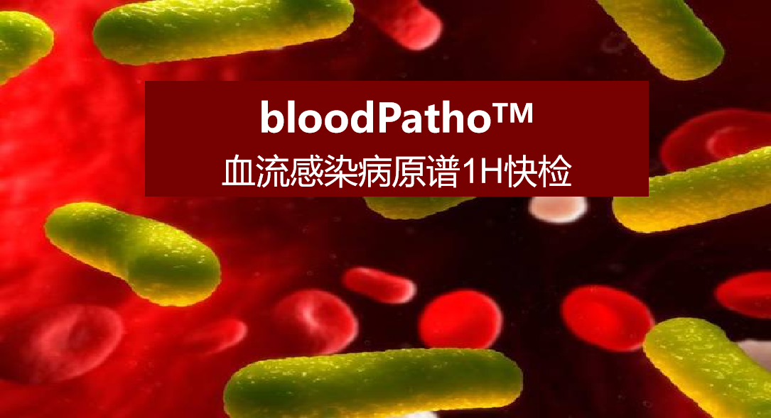 bloodPatho，血流感染病原谱