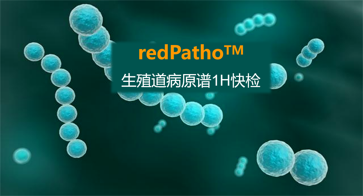 redPatho，生殖道感染病原谱